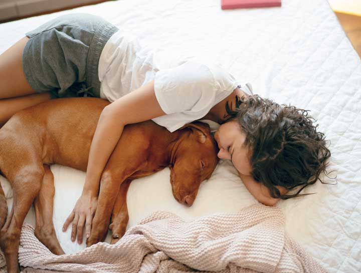 Why Quality Sleep is Essential for Your Pet’s Health